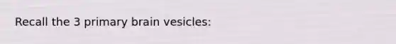 Recall the 3 primary brain vesicles: