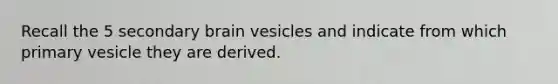 Recall the 5 secondary brain vesicles and indicate from which primary vesicle they are derived.