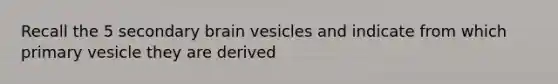 Recall the 5 secondary brain vesicles and indicate from which primary vesicle they are derived