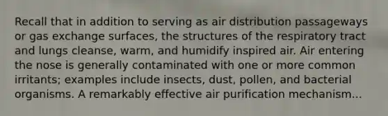 Recall that in addition to serving as air distribution passageways or gas exchange surfaces, the structures of the respiratory tract and lungs cleanse, warm, and humidify inspired air. Air entering the nose is generally contaminated with one or more common irritants; examples include insects, dust, pollen, and bacterial organisms. A remarkably effective air purification mechanism...