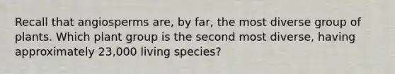 Recall that angiosperms are, by far, the most diverse group of plants. Which plant group is the second most diverse, having approximately 23,000 living species?