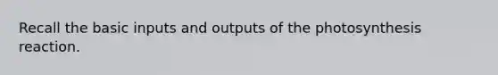 Recall the basic inputs and outputs of the photosynthesis reaction.