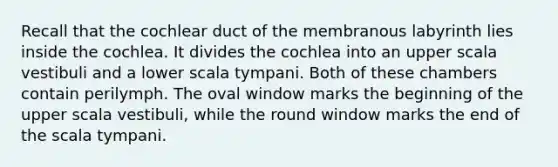 Recall that the cochlear duct of the membranous labyrinth lies inside the cochlea. It divides the cochlea into an upper scala vestibuli and a lower scala tympani. Both of these chambers contain perilymph. The oval window marks the beginning of the upper scala vestibuli, while the round window marks the end of the scala tympani.