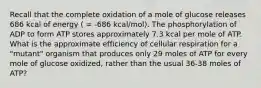 Recall that the complete oxidation of a mole of glucose releases 686 kcal of energy ( = -686 kcal/mol). The phosphorylation of ADP to form ATP stores approximately 7.3 kcal per mole of ATP. What is the approximate efficiency of cellular respiration for a "mutant" organism that produces only 29 moles of ATP for every mole of glucose oxidized, rather than the usual 36-38 moles of ATP?