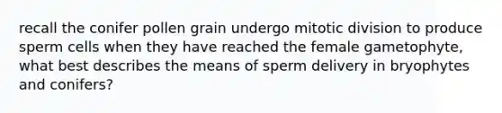 recall the conifer pollen grain undergo mitotic division to produce sperm cells when they have reached the female gametophyte, what best describes the means of sperm delivery in bryophytes and conifers?