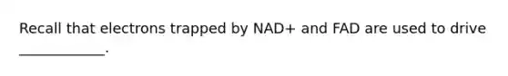 Recall that electrons trapped by NAD+ and FAD are used to drive ____________.