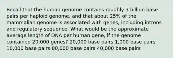 Recall that the human genome contains roughly 3 billion base pairs per haploid genome, and that about 25% of the mammalian genome is associated with genes, including introns and regulatory sequence. What would be the approximate average length of DNA per human gene, if the genome contained 20,000 genes? 20,000 base pairs 1,000 base pairs 10,000 base pairs 80,000 base pairs 40,000 base pairs