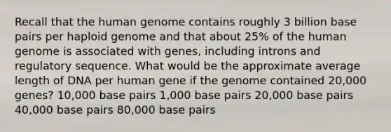 Recall that the <a href='https://www.questionai.com/knowledge/kaQqK73QV8-human-genome' class='anchor-knowledge'>human genome</a> contains roughly 3 billion base pairs per haploid genome and that about 25% of the human genome is associated with genes, including introns and regulatory sequence. What would be the approximate average length of DNA per human gene if the genome contained 20,000 genes? 10,000 base pairs 1,000 base pairs 20,000 base pairs 40,000 base pairs 80,000 base pairs