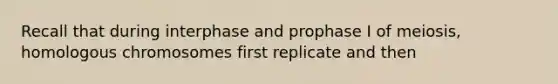 Recall that during interphase and prophase I of meiosis, homologous chromosomes first replicate and then