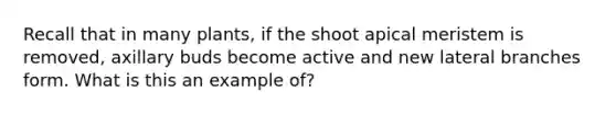 Recall that in many plants, if the shoot apical meristem is removed, axillary buds become active and new lateral branches form. What is this an example of?