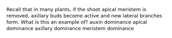 Recall that in many plants, if the shoot apical meristem is removed, axillary buds become active and new lateral branches form. What is this an example of? auxin dominance apical dominance axillary dominance meristem dominance