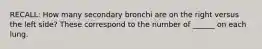 RECALL: How many secondary bronchi are on the right versus the left side? These correspond to the number of ______ on each lung.