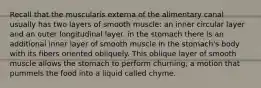 Recall that the muscularis externa of the alimentary canal usually has two layers of smooth muscle: an inner circular layer and an outer longitudinal layer. in the stomach there is an additional inner layer of smooth muscle in the stomach's body with its fibers oriented obliquely. This oblique layer of smooth muscle allows the stomach to perform churning, a motion that pummels the food into a liquid called chyme.