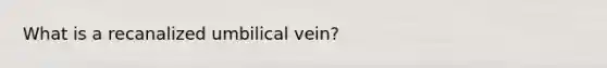 What is a recanalized umbilical vein?