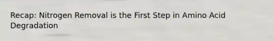 Recap: Nitrogen Removal is the First Step in Amino Acid Degradation