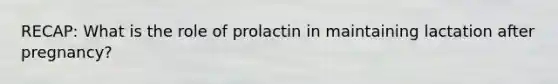 RECAP: What is the role of prolactin in maintaining lactation after pregnancy?