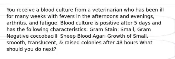 You receive a blood culture from a veterinarian who has been ill for many weeks with fevers in the afternoons and evenings, arthritis, and fatigue. Blood culture is positive after 5 days and has the following characteristics: <a href='https://www.questionai.com/knowledge/kRRIXBW3v0-gram-stain' class='anchor-knowledge'>gram stain</a>: Small, Gram Negative coccobacilli Sheep Blood Agar: Growth of Small, smooth, translucent, & raised colonies after 48 hours What should you do next?