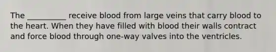 The __________ receive blood from large veins that carry blood to the heart. When they have filled with blood their walls contract and force blood through one-way valves into the ventricles.