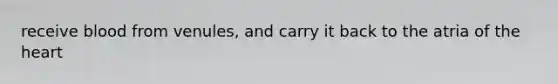 receive blood from venules, and carry it back to the atria of the heart