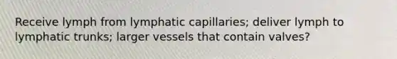 Receive lymph from lymphatic capillaries; deliver lymph to lymphatic trunks; larger vessels that contain valves?