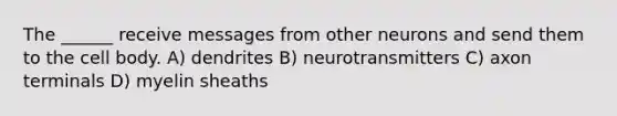 The ______ receive messages from other neurons and send them to the cell body. A) dendrites B) neurotransmitters C) axon terminals D) myelin sheaths