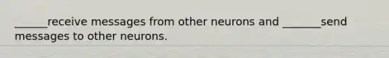 ______receive messages from other neurons and _______send messages to other neurons.