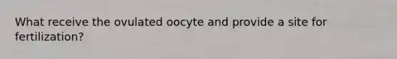 What receive the ovulated oocyte and provide a site for fertilization?