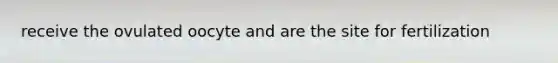 receive the ovulated oocyte and are the site for fertilization