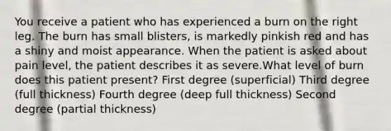 You receive a patient who has experienced a burn on the right leg. The burn has small blisters, is markedly pinkish red and has a shiny and moist appearance. When the patient is asked about pain level, the patient describes it as severe.What level of burn does this patient present? First degree (superficial) Third degree (full thickness) Fourth degree (deep full thickness) Second degree (partial thickness)