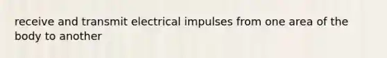 receive and transmit electrical impulses from one area of the body to another