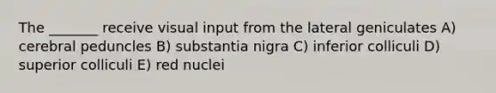 The _______ receive visual input from the lateral geniculates A) cerebral peduncles B) substantia nigra C) inferior colliculi D) superior colliculi E) red nuclei