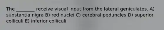 The ________ receive visual input from the lateral geniculates. A) substantia nigra B) red nuclei C) cerebral peduncles D) superior colliculi E) inferior colliculi