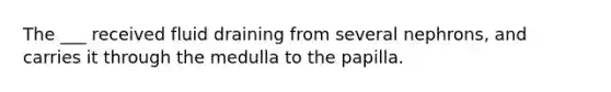 The ___ received fluid draining from several nephrons, and carries it through the medulla to the papilla.