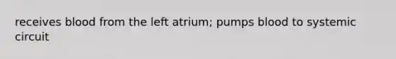 receives blood from the left atrium; pumps blood to systemic circuit