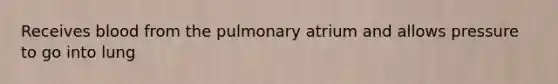 Receives blood from the pulmonary atrium and allows pressure to go into lung