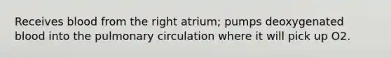 Receives blood from the right atrium; pumps deoxygenated blood into the pulmonary circulation where it will pick up O2.