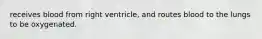 receives blood from right ventricle, and routes blood to the lungs to be oxygenated.