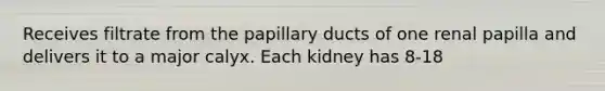 Receives filtrate from the papillary ducts of one renal papilla and delivers it to a major calyx. Each kidney has 8-18