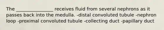 The ________________ receives fluid from several nephrons as it passes back into the medulla. -distal convoluted tubule -nephron loop -proximal convoluted tubule -collecting duct -papillary duct