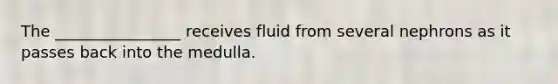 The ________________ receives fluid from several nephrons as it passes back into the medulla.