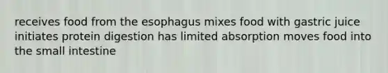 receives food from the esophagus mixes food with gastric juice initiates protein digestion has limited absorption moves food into the small intestine