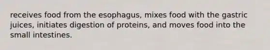 receives food from <a href='https://www.questionai.com/knowledge/kSjVhaa9qF-the-esophagus' class='anchor-knowledge'>the esophagus</a>, mixes food with the gastric juices, initiates digestion of proteins, and moves food into <a href='https://www.questionai.com/knowledge/kt623fh5xn-the-small-intestine' class='anchor-knowledge'>the small intestine</a>s.