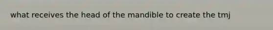 what receives the head of the mandible to create the tmj