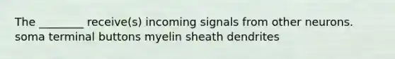 The ________ receive(s) incoming signals from other neurons. soma terminal buttons myelin sheath dendrites