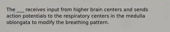 The ___ receives input from higher brain centers and sends action potentials to the respiratory centers in the medulla oblongata to modify the breathing pattern.