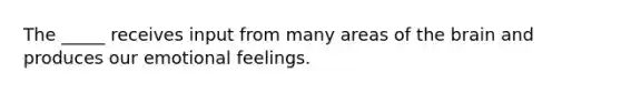 The _____ receives input from many areas of <a href='https://www.questionai.com/knowledge/kLMtJeqKp6-the-brain' class='anchor-knowledge'>the brain</a> and produces our emotional feelings.