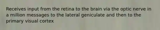 Receives input from the retina to the brain via the optic nerve in a million messages to the lateral geniculate and then to the primary visual cortex