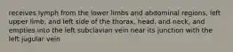 receives lymph from the lower limbs and abdominal regions, left upper limb, and left side of the thorax, head, and neck, and empties into the left subclavian vein near its junction with the left jugular vein