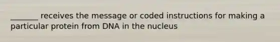 _______ receives the message or coded instructions for making a particular protein from DNA in the nucleus