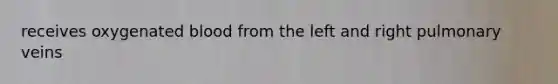 receives oxygenated blood from the left and right pulmonary veins